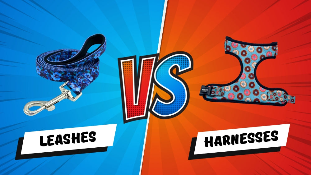 Dog Leashes vs. Harnesses