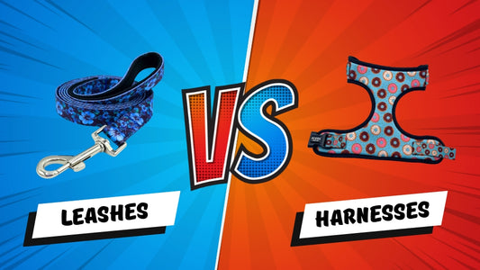 Dog Leashes vs. Harnesses