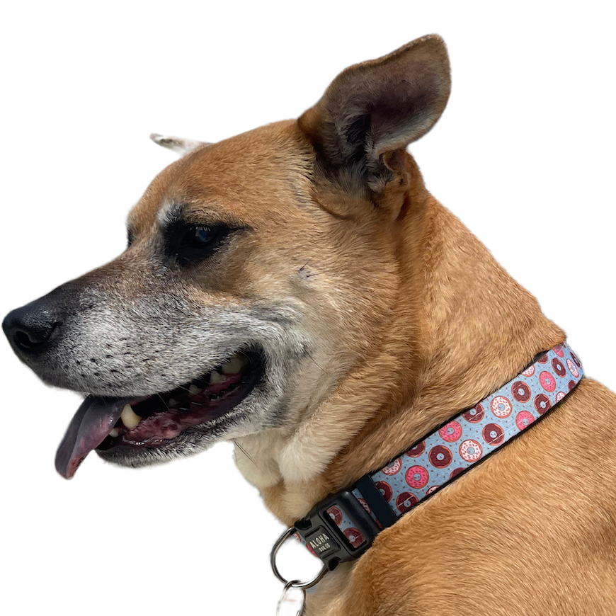 Doughnut Dog Collar