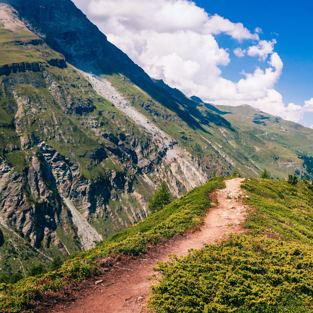 Top 5 Dog-Friendly Hiking Trails in Hawaii | Adventure-Ready Tips