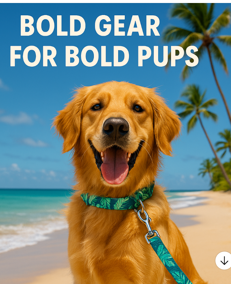 Beach Days with Your Pup: Must-Have Beach Dog Supplies + Tips for a Perfect Day in the Sun