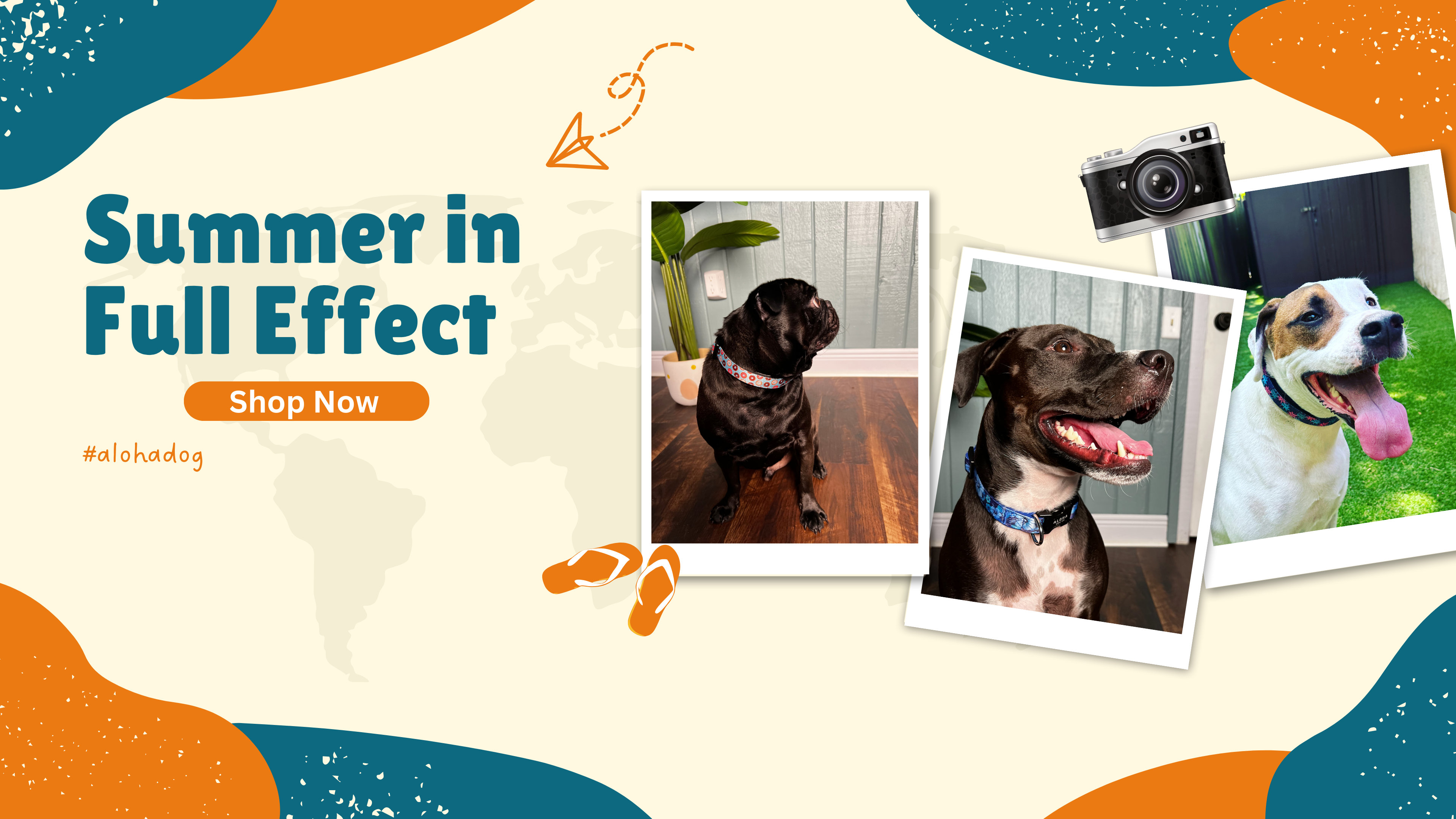 Hero image for Aloha Dog Co showcasing 3 dogs