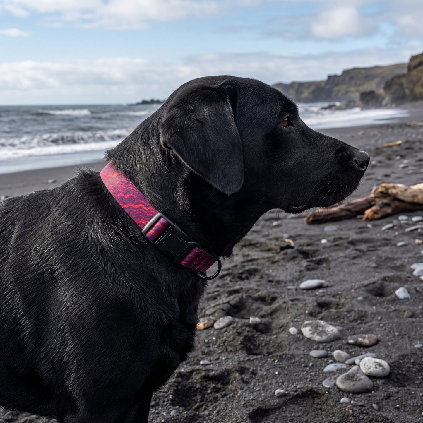 Lava Flow Leash