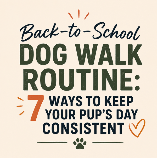 Back-to-School Dog Walk Routine: 7 Ways to Keep Your Pup’s Day Consistent