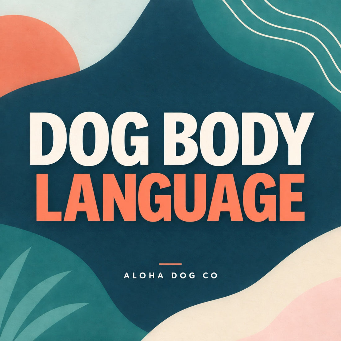How to Read Your Dog’s Body Language on a Busy Walk