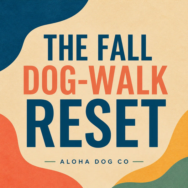 The Fall Dog-Walk Reset: 7 Easy Ways to Make Cooler Days Feel Effortless