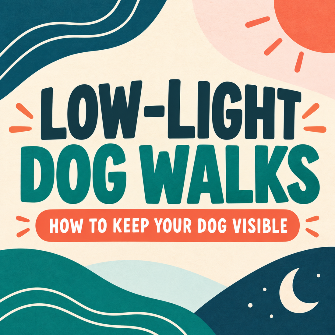 Low-light dog walks: how to keep your dog visible