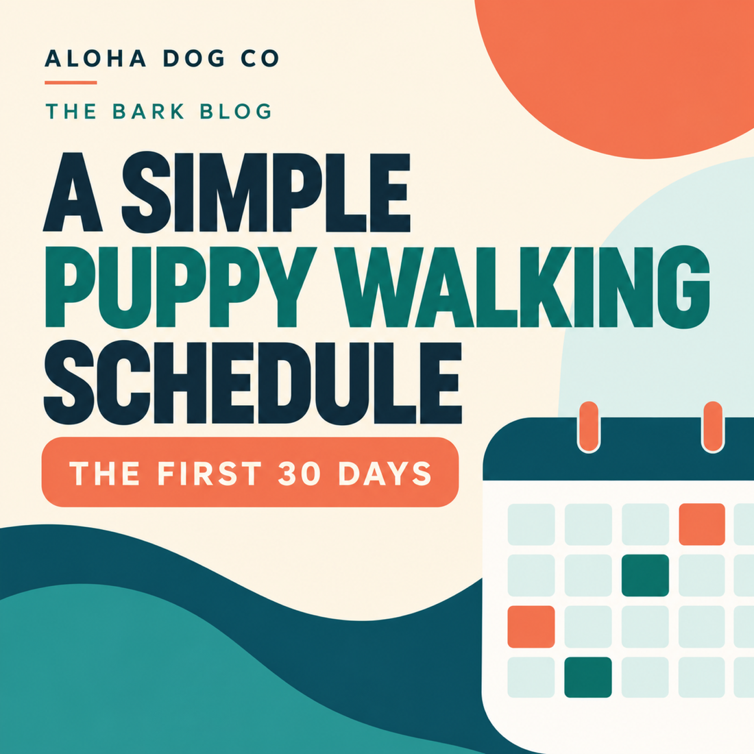 A simple puppy walking schedule for the first 30 days