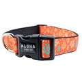 Coral Reef Collar