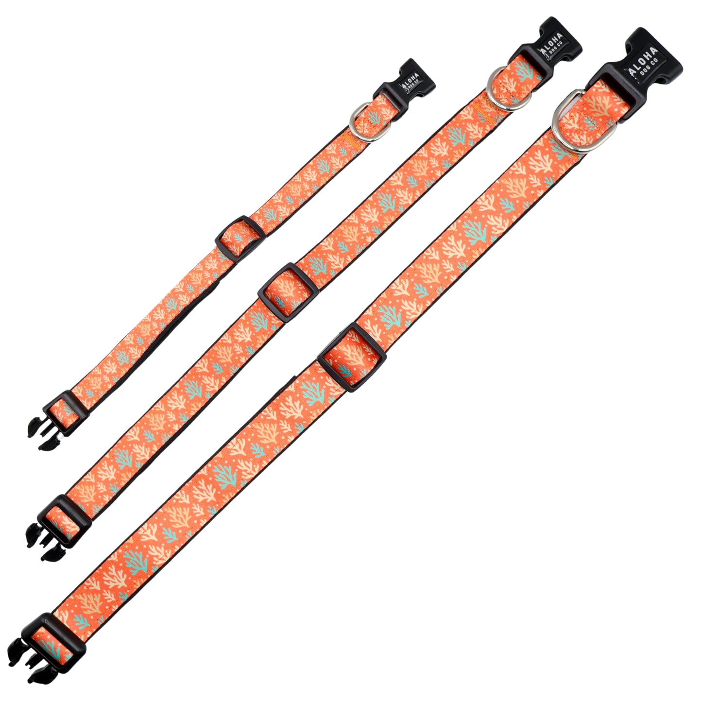 Coral Reef Collar
