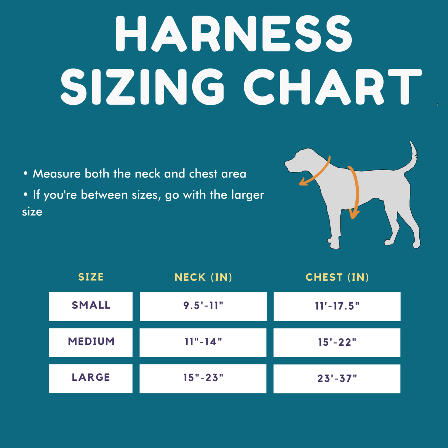 Enchanting Gardens Collar, Leash & Harness Bundle