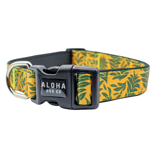 Mellow Maui Collar
