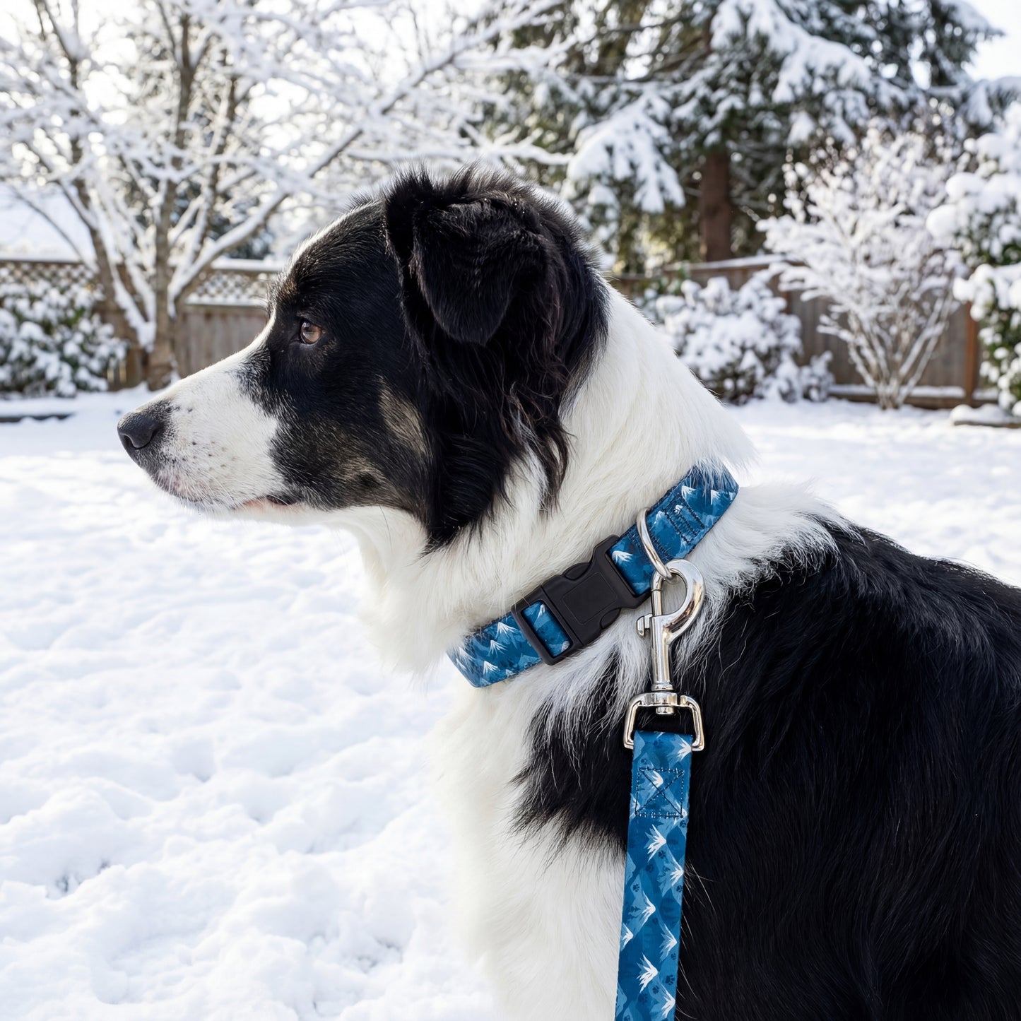 Frosty Mountains Leash