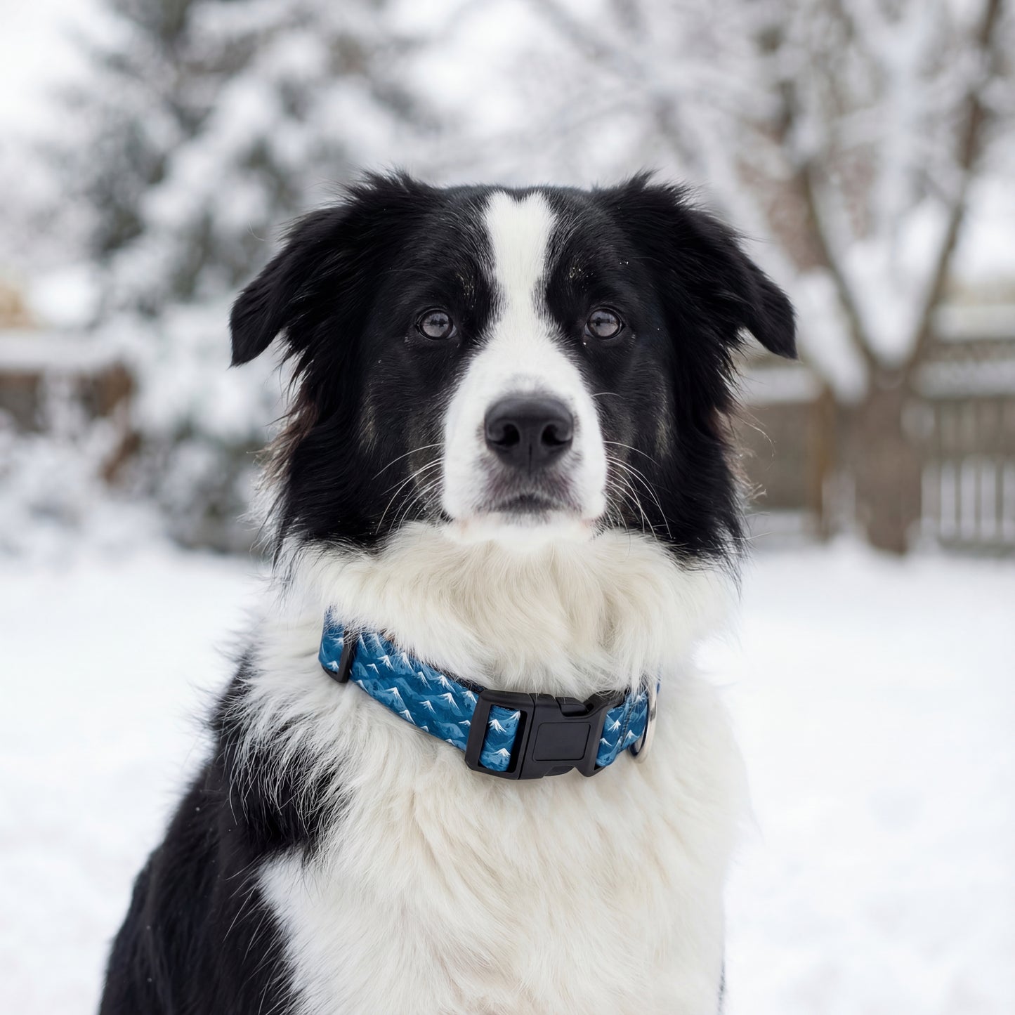 Frosty Mountains Leash