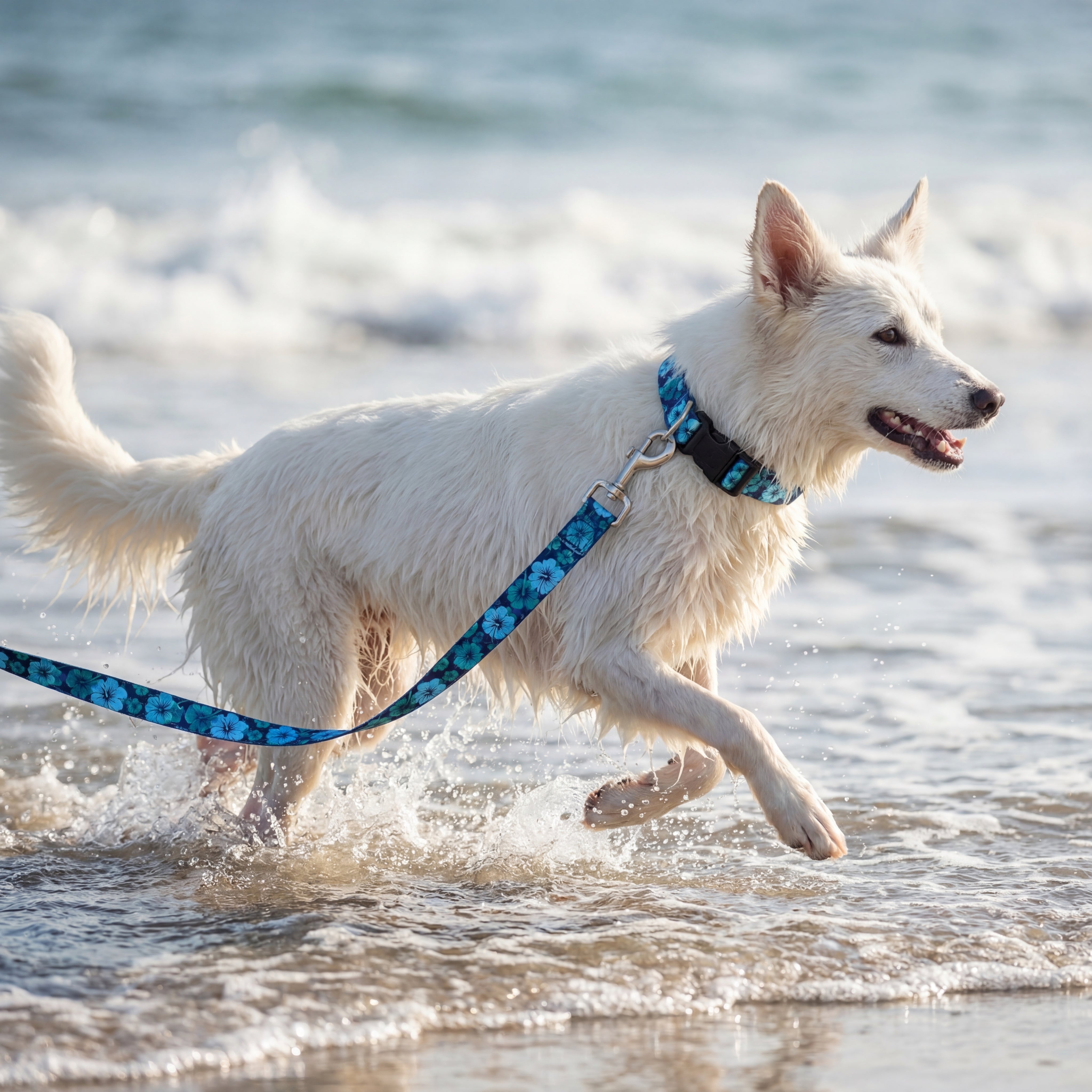 Tropical Blue Hawaiian Dog Leash | Shop Today – Aloha Dog Co