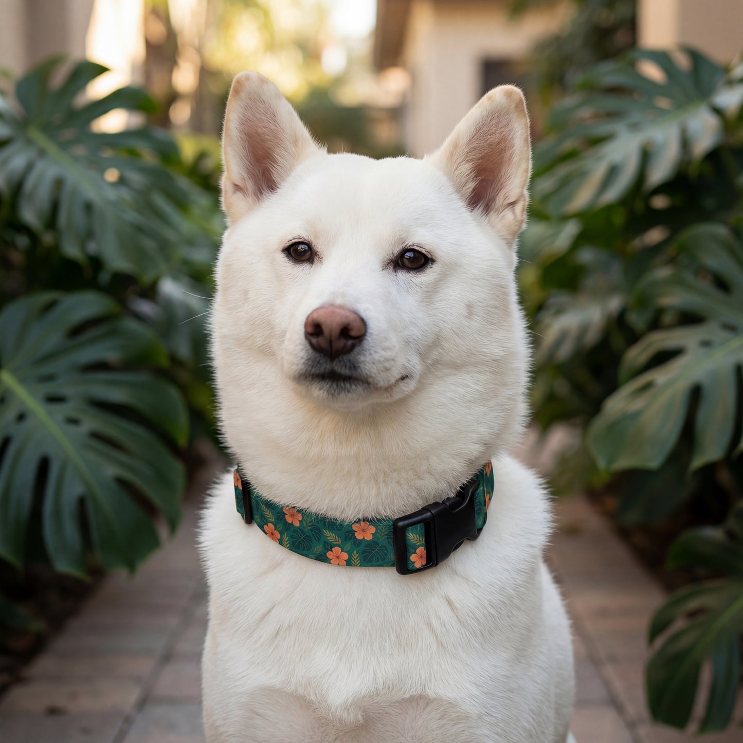 Jungle Bloom Collar