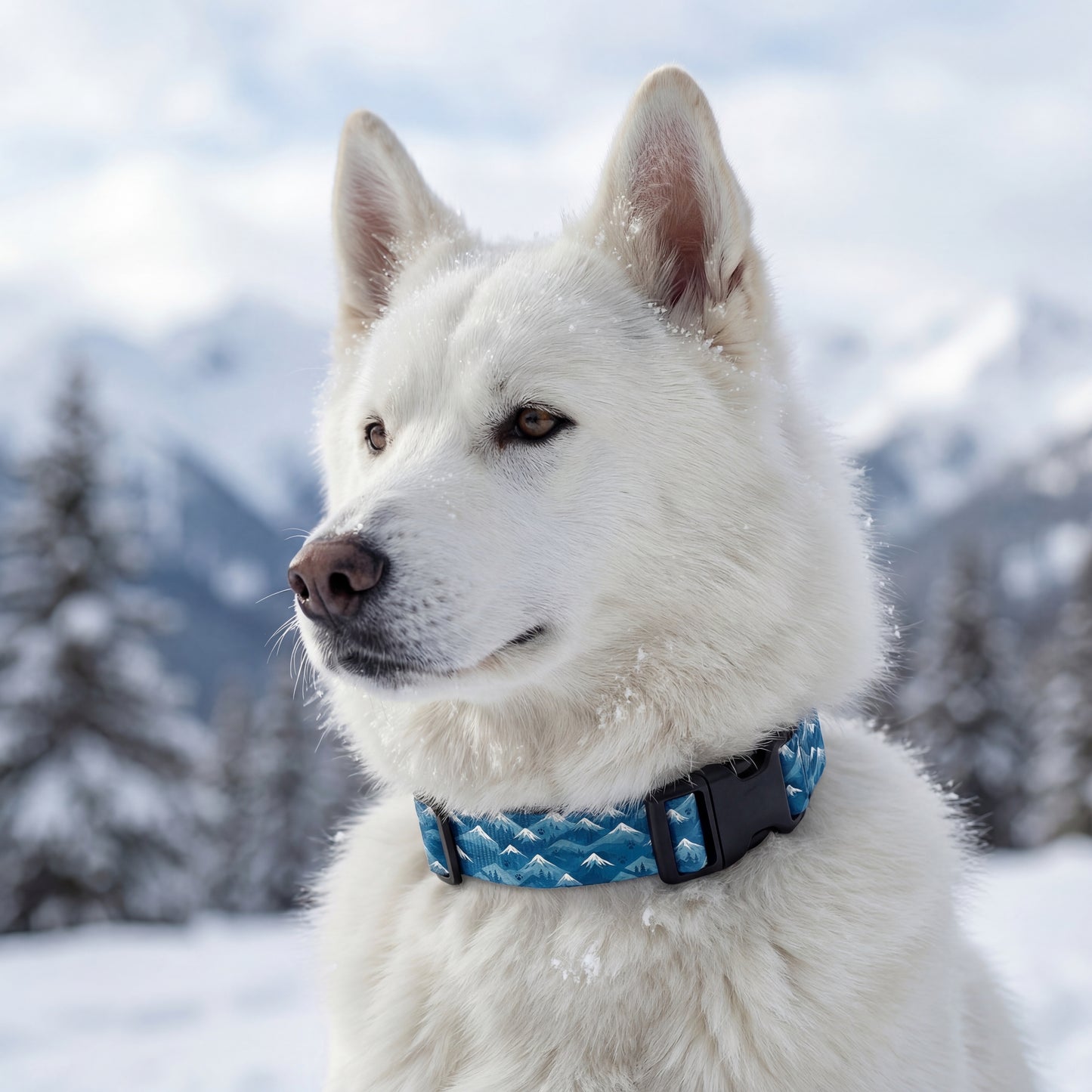 Frosty Mountains Collar