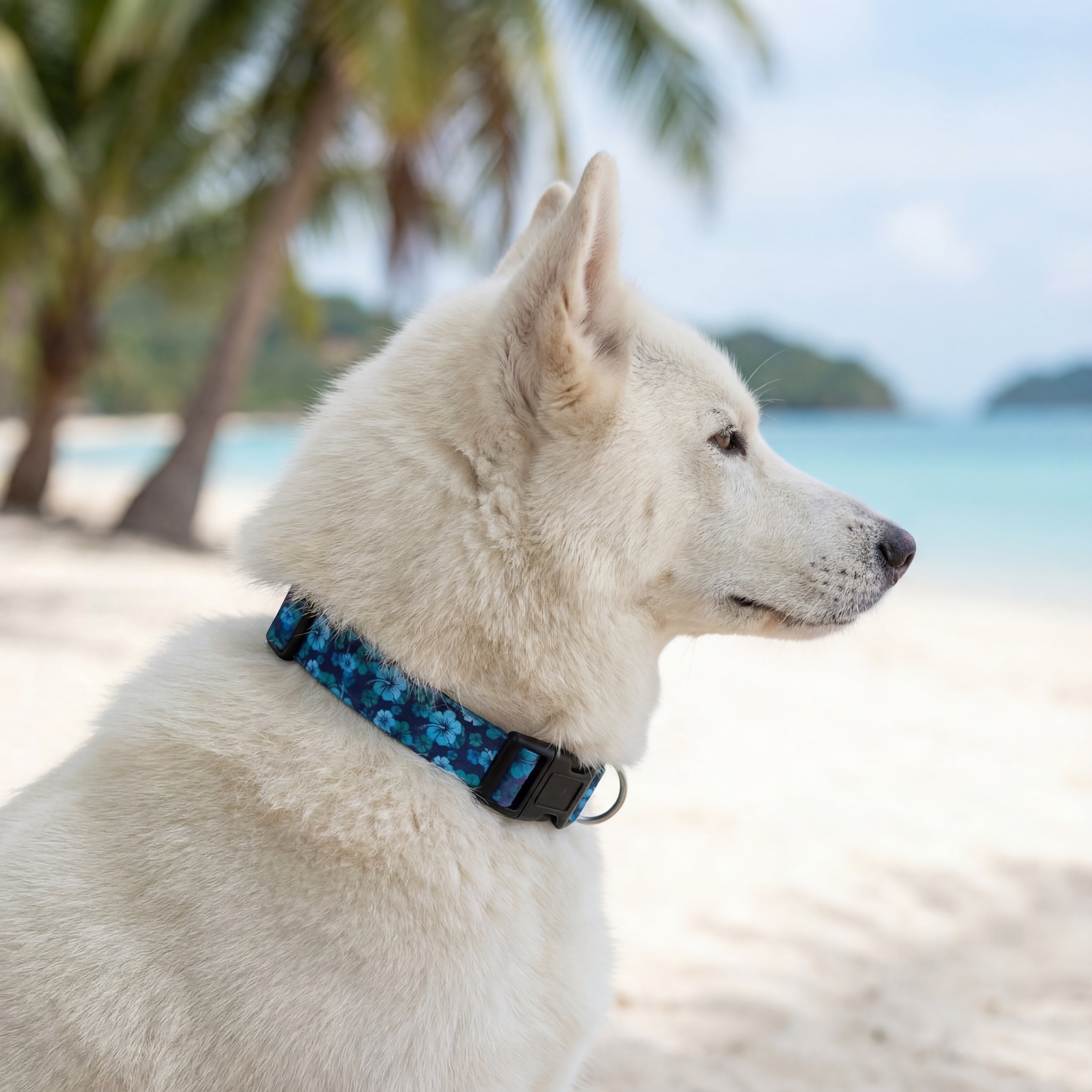 Hawaiian Tropics Harness – Aloha Dog Co