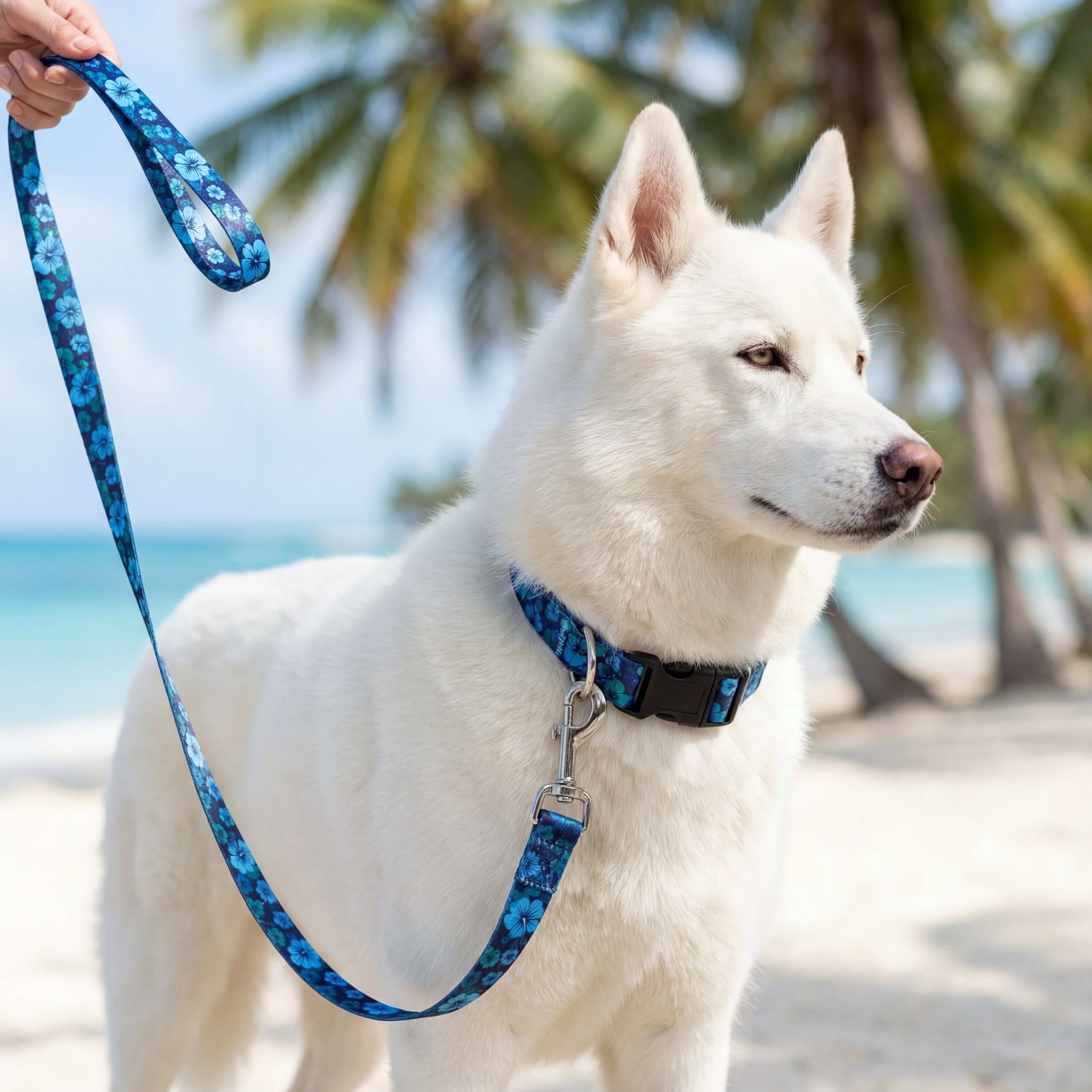 Tropical Blue Hawaiian Dog Collar & Leash Set | Shop Today – Aloha
