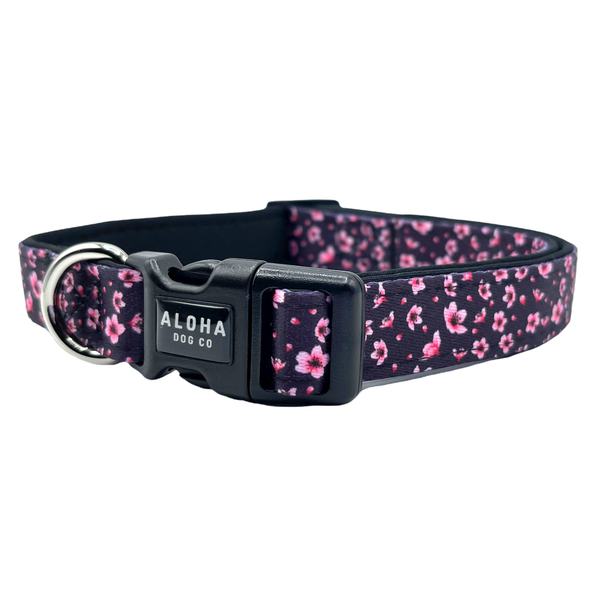 Blossom 2024 dog collars